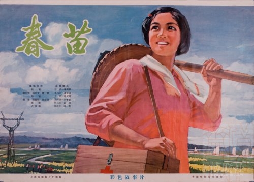学位证书查询官网的用户名是什么